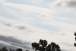 resIMG_20121007_2324.JPG